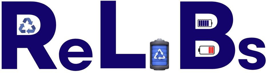 MSN Symposium 2026 Logo